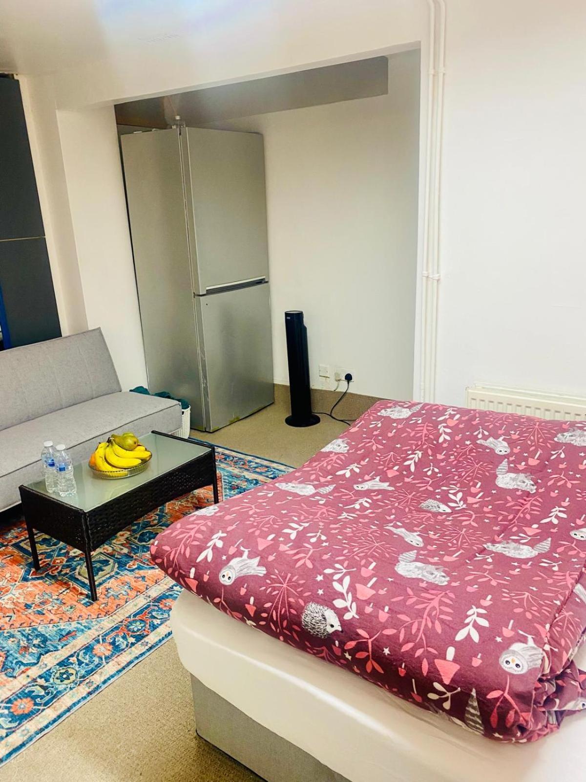 Cozy Studio Opposite Chelsea Stadium London Eksteriør bilde